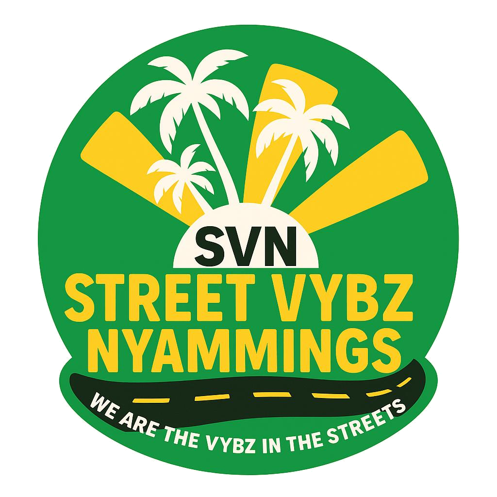 SVN Logo Transparent